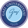 Gazi University