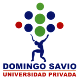 Domingo Savio Private University